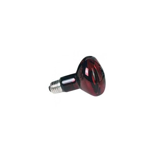 Zoo Med Nocturnal Infrared Incandescent Heat Lamp 75 Watts - color: Red, size: 1 Count (Pack of 1)