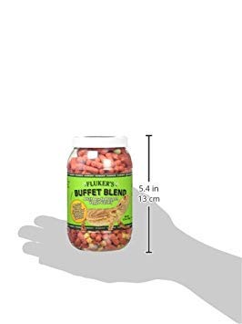 Fluker's Buffet Blend Adult Bearded Dragon Veggie Variety Diet, 4.5 oz (76042) - size: 4.5 Ounce (Pack of 1)