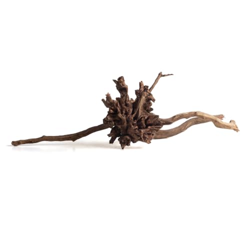 emours Natural Aquarium Driftwood, Horizontal Root Style Wood for Fish Tank Decor, Unique Driftwood for Aquascape, Terrarium and Reptile Display (12-16" (30-40 cm)) - size: 12-16" (30-40 cm)