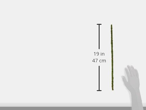 Galápagos (05320) Mossy Terrarium Sticks 18" (Pack of 6) - size: 18"