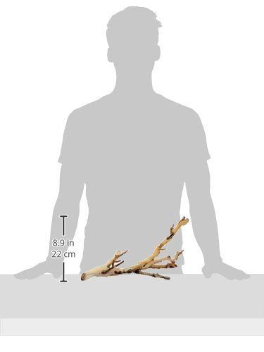 (2 Pack) Exo Terra Forest Branch, Small