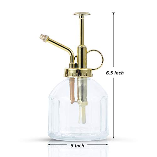 Glass Plant Mister Spray Bottle, Succulent Watering Bottle with Golden Top Pump, Vintage Plant Spritzer, Decorative Water Sprayer Small Watering Can for Indoor Outdoor Houseplant - Clear - color: Clear+Gold T
