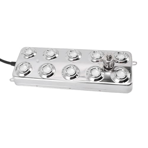 Ultrasonic Mist Maker 304 Stainless Steel Ultrasonic Fogger 10 Head 350W 7L H with IP67 Power Supply for Greenhouse Terrarium Pond Fountain Halloween Cauldron