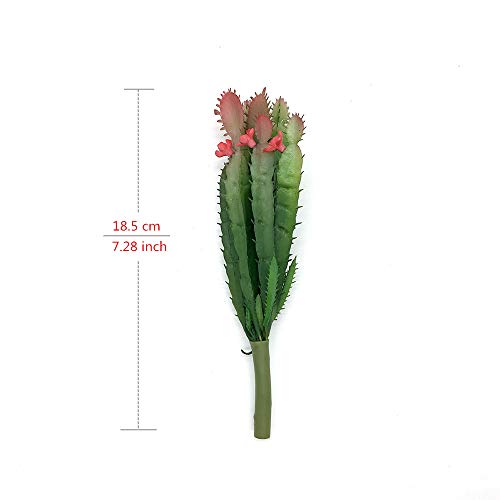 2 PCS Mini Artificial Succulents Plants Unpotted Faux Cactus Fake Succulent Bouquet Arrangements Faux Plants DIY for Garden Decor Home Decoration Greenery Set (Mini Cactus) - color: Mini Cactus