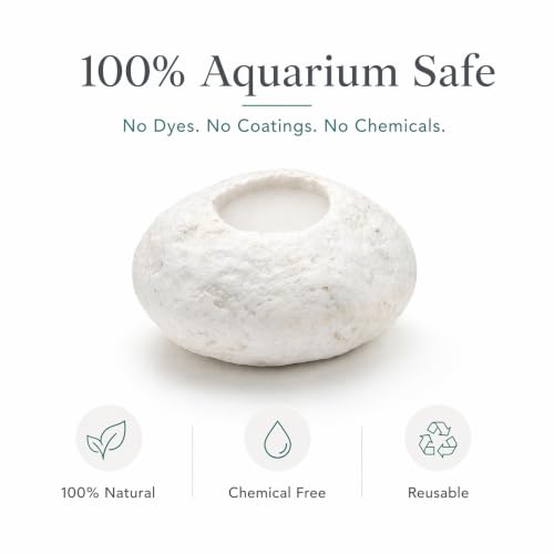 3 Pack White Pebble Plant Weights for Aquarium, Natural Drilled Stone Plant Anchors with 1.2 Inch Hole & Foam Sponge, Aquatic Plant Holders for Fish Tank, Terrarium, Succulent Planter - color: 1.2″ Hole 6pcs