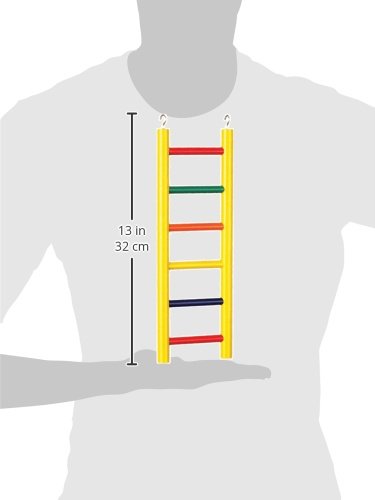 Prevue Pet Products 6-Rung Wood Bird Ladder - Accessories for Small, Medium, and Large Birds, Hanging Birdcage Toy for Climbing, Foot Exercise, Beak Use, Mental Enrichment, and Interactive Play - size: 6-Rungs