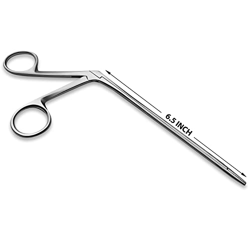Precise ENT Procedures with Alligator Ear Forceps - Curved Jaw Design, Non-Slip Grip Handle, Fine-Tip, Reusable and Easy to Clean - 6.5 Inches - size: 6.5 Inch
