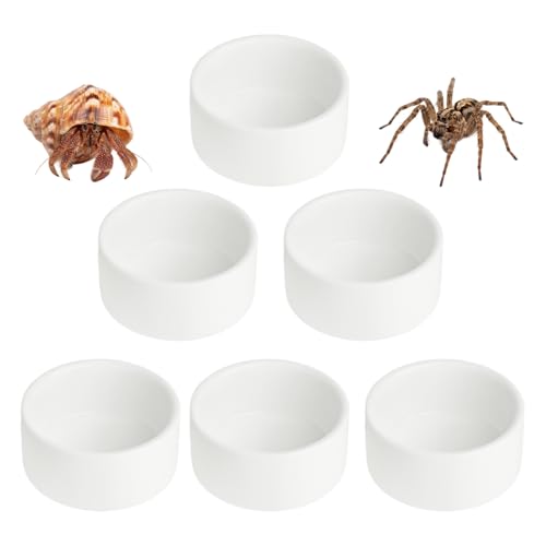 6 Pcs Spider Micro Ceramic Water Bowl, Mini Pet Dish for Spider (1 oz) - size: 1 oz