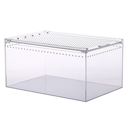 NANEEZOO Magnetic Enclosure for Spider, 12 x 8 x 6 Inch Reptile Breeding Box Terrarium Cage for Insect Tarantulas Amphibians Caterpillars Snail Clear Reptile Feeding Box