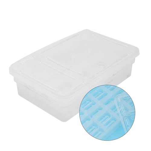 HANABASS 20grids Reptile Hatching Incubator Box Breeding Kit for Eggs View of Hatching Process Easy Fun Experience
