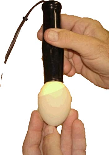 Cool-Lite Egg Candler for Testing Eggs During Hatch