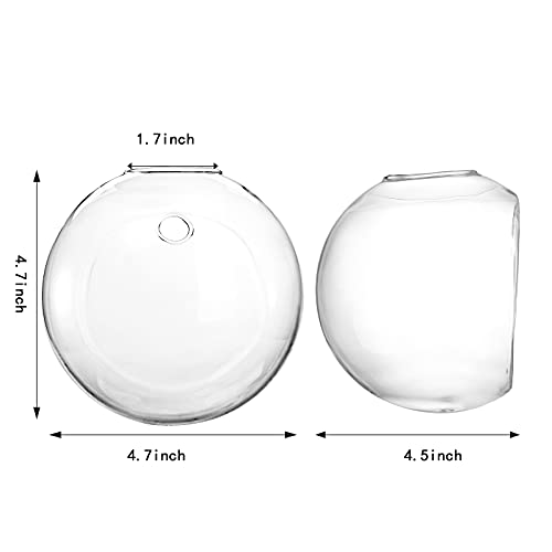 6 Pack Wall Hanging Planters Terrarium, 4.7 Inch Glass Oblate Globe Plants Containers, Wall Mount Clear Flower Vase for Propagating Hydroponics Plants, Air Plants (Plants Not Included)