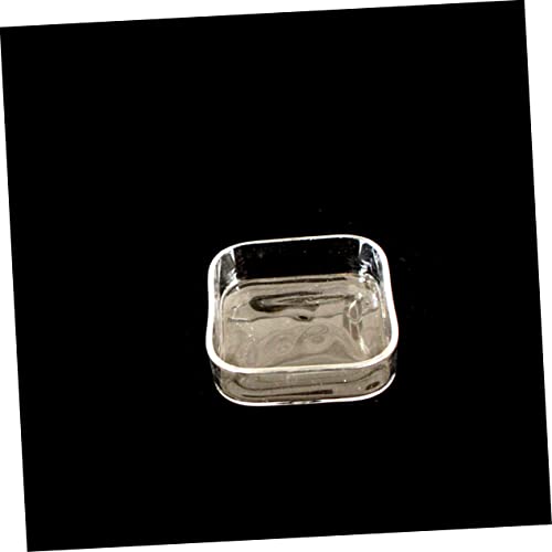 HEMOTON Lizard Feeder Bowl Transparent Glass Pet Feeding Container for Reptiles and Animals for Tortoises Snails and Item Storage Easy to