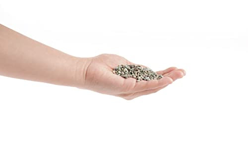 Thoreau Aquarium Sand Natural Decorative Gravel 3-5mm 2L Aquascape | For aquascaping, planted, shrimp and nano tank - size: M,2Lx1pk
