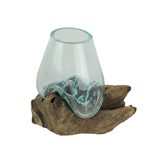 Molten Glass Vase on Teak Driftwood, 7.5 Inch | Clear Hand-Formed Bowl, Natural Wood Base, For Succulents, Air Plants, Herbs or Desktop Terrariums