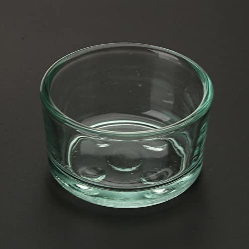 Feeder Dish Bowl Glass Water Feeder Bowl Anti-Escape Worm Container for Bearded Dragon Corn Snake Supplies Pet Supplies Pet Supplies Amphibians Supplies Pet Health