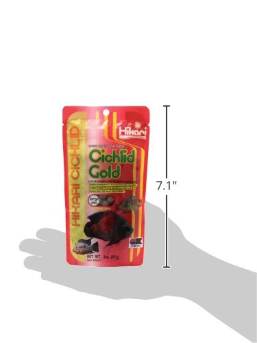 Hikari 2-Ounce Cichlid Gold Floating Pellets for Pets, Large