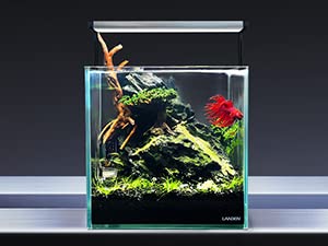 Dark Seiryu Stone Aquascaping Rock 17lb Planted Aquarium Iwagumi | Dark veined texture; iwagumi aquascape - size: 08 Dark Seiryu Stones(3-11inch,17lbs)