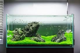 Fluval 50 Power Filter – Aquarium Filter for 20 to 50 Gallon Fish Tanks – Quiet Energy Efficient Pump – Mechanical, Chemical & Biological Filtration – Easy Install & Maintenance (Packaging May Vary) | Quiet Energy Efficient Pump - Mechanical, Chemical & B