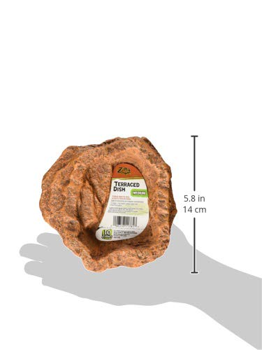 Zilla Pet Terrarium Food/Water Terraced Dish, Medium (Pack of 2) - size: Medium (Pack of 2)
