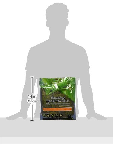 Galápagos (05213) Terrarium Green Sphagnum Moss, Natural, 4 Quart (Pack of 6) - size: 4 QT (Pack of 6)