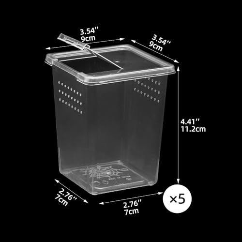 5 Pcs Spider Terrariums Breeding Box, Tall Insect Hatching Container Plastic Feeding Box for Arboreal Small Reptiles Jumping Spider Scorpion Centipede Insect