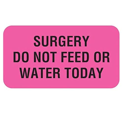 Tabbies V-AN220 Surgery Do Not Feed or Water Today Veterinary Labels, 560 Count, Fluorescent Pink, 1-5/8 x 7/8 Inch, Self-Adhesive Vet Care Instruction Stickers for Animal Charts - size: 1-5/8" x 7/8", 560 Count (Pack of 1), style: SURGERY DO NOT FEED OR.