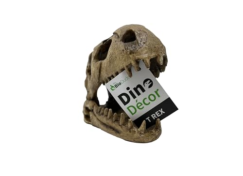 The Bio Dude - Dino Decor T REX bioactive Terrarium and Vivarium Skull Accent. Looks Natural