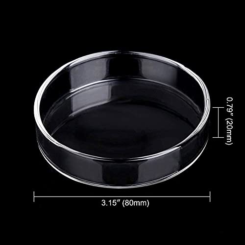 WEAVERBIRD 80mm Aquarium Shrimp Feeder Dish Glass Fish Tank Feeding Bowls Round Clear Dishes Tray - size: 80MM