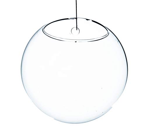 WGV Wall Hanging Planter Terrarium Bulk, Diameter 6", Clear Mounted DIY Succulents Air Glass Floral Container Vase, Tea Light Votive Candle Holder for Decoration 6 Pieces - size: 6"D