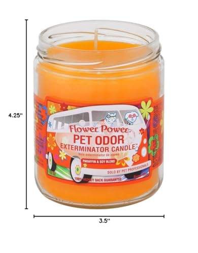 Flower Power„ Pet Oder Exterminator Candle 13 oz - color: Orange