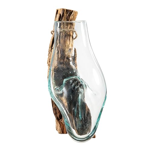 Cape Craftsmen Wall Mounted 12" Molten Glass Hanging Terrarium Kit on Natural Driftwood, Indoor Wall Planter Vase on Wood, Propagation Station for Hydroponics Plants, Succulent Pot - size: Wall Mounted