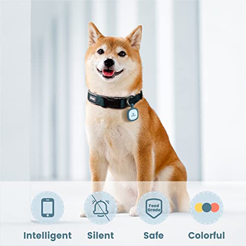 Pawaii Dog ID Tag, Silent Silicone QR Code Tag, Scan Alerts, No App, 1 Pack | Updatable online profile, emergency contacts, no subscription, lost pet recovery, collar friendly, lightweight wear - color: Deep Sea Blue