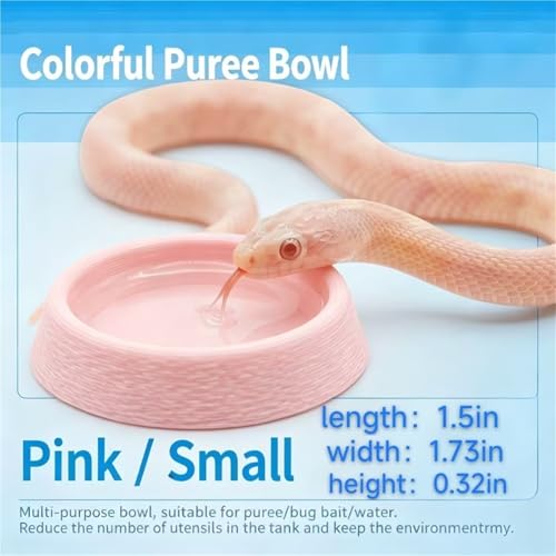 2 PCS Reptile Food Water Bowls, Small/Medium/Large Amphibian Feeding Dish Basin, 4 Colors Terrarium Feeder for Gecko, Frog, Turtle, Lizard, Spider Pet Supplies(Pink,Small) - color: Pink, size: Small
