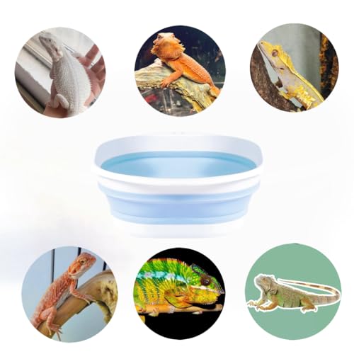 Bearded Dragon Bathtub with Brush and Towel Lizard Gecko Reptile Bath Tub | Foldable Bearded Dragon Swimming Pool , Small Animal Bathtub