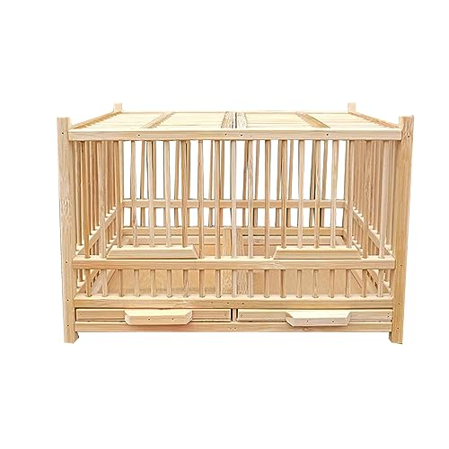 Small Reptile Animals Terrarium. Insect Enclosure. Crickets, Snails, Spiders, Cockroach ,Tarantula ,Caterpillar,Cages. Luxury Houses, Double Room. Bamboo (A)