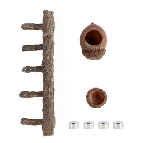 REPTI ZOO Jumping Spider Hideout and Feeding Dish, Nut Shaped Hide and Cave Sets for Spider Playing, Feeding and Climbing, Pet Spider Enclosure Accessories