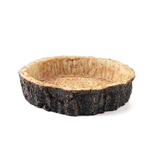 CalPalmy 2 Pack Reptile Water and Food Bowls, Novelty Food Bowl for Lizards, Young Bearded Dragons, Small Snakes and More - Made from BPA-Free Plastic