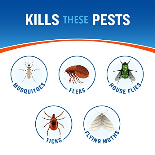 Cutter Backyard Bug Control Spray Concentrate (2 Pack), Kills Mosquitoes, Fleas & Listed Ants, 32 fl Ounce | Kills Mosquitoes, Fleas & Other Listed Insects, For Lawns, Shrubs, & More, Controls up to 12 Weeks, Treats up to 5,000 Sq.Ft. - size: 2 Pack, styl