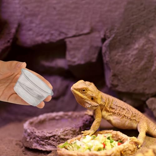1200PCS 0.5oz Gecko Food Cups | Durable Plastic Leak-Proof Reptile Feeder Cups - for Geckos, Lizards & Small Pets | Multi-Purpose for Terrarium Daily Feeding(0.5oz) - size: 1200PCS