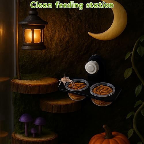 Jumping Spider Feeding Dish Kit with Tweezers, Dual Cup Food Bowl with Suction Mount, Small Reptile/Tarantula Enclosure Accessories (Feeding Ledge)