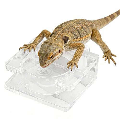 Escape Feeding Dish Water Cup Strong Mount for Reptiles Live Prey in Tanks Enclosures Feeding Tray - color: Small dining table