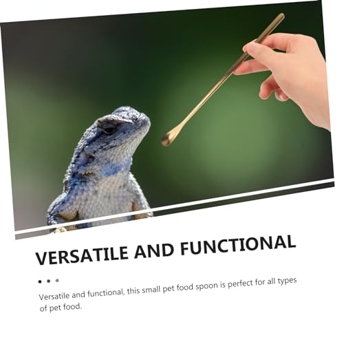 Levemolo 2Pcs Stainless Steel Pet Food Spoon for Reptiles Long Handle Feeding Tool for Lizards Turtles Small Animals Durable and Easy to Use Compact Design