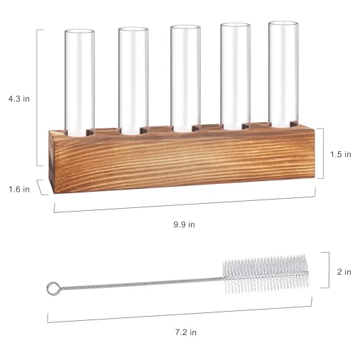 Plant Propagation Station, 10 Glass Test Tube with Wooden Stand | Plant Terrarium for Hydroponics Plants Office Decor Unique Gardening Gifts for Women Plants Lovers - size: 10 Test Tube