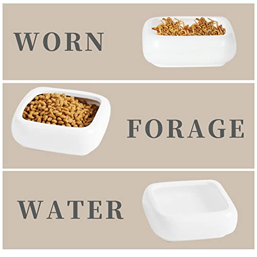 Ceramic Reptile Food Bowls, Reptile Water Food Dish (White, Medium-1Pack)