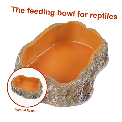 BESTOYARD 2pcs pet Feeding Bowl Glass containers Reptile Glass Decor Tortoise Food Dish Lizard Food Tray Terrarium Water Dish Pet Supply Resin Rock Worm Feeder Dish Terrarium Water Bowl