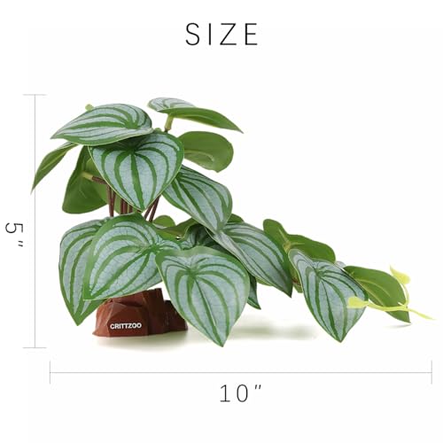 Reptile Fake Plants for Gecko Lizard Snake Frog Terrarium Decor - color: Fake Calathea Orbifolia
