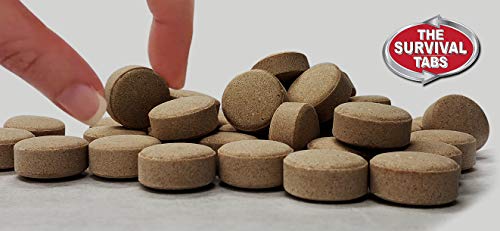 Survival Tabs – Emergency Food Supply – 2-Day Chocolate Tabs, USA, Portable | Concentrated formula supplies 15 vitamins and minerals per serving - fits neatly in backpacks, glove boxes, or pantry shelves