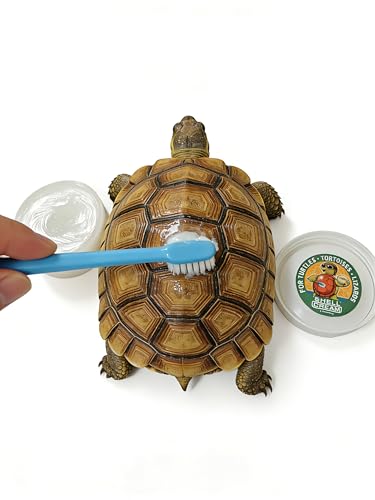 2Pcs Turtle Shell Balm, Reptile Shell Care Conditioner Moisturizer for Tortoise Lizard Reptiles, Essential Turtle Accessories, Skin Relief & Dryness Prevention for Tortoise, Lizard & All Reptiles