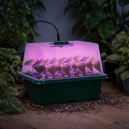 Seed Starter Trays with 12-LED Grow Lights, Green, 5 Pack | 5 Seed Starter Kits, 60 Cells, 12-LED Grow Light per Tray, Vented Humidity Domes, Drainage Holes, 1-to-5 USB Cable - color: Green, size: 5 Packs